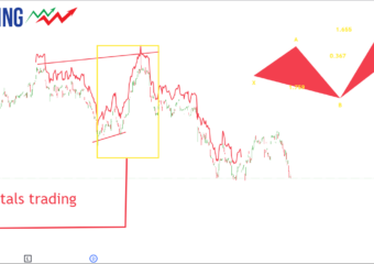 MIRRORED FRACTAL INDICATOR